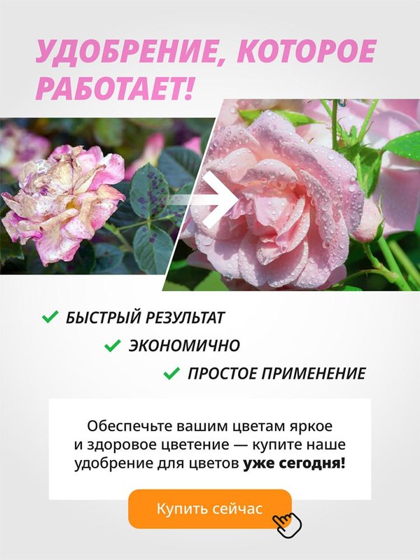 Удобрение для роз осеннее гранулированное FLOVITAL подкормка для пионов 1 кг