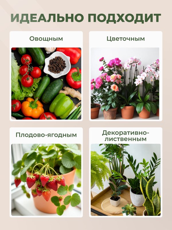 Удобрение для томатов, перцев, огурцов / подкормка для овощей и плодов универсальная с бором Чудозем 500 мл
