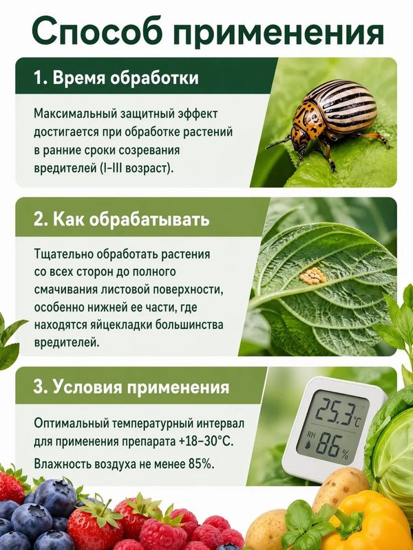 Средство от мучнистой росы на огурцах, фитофтороза и гнилей 4 шт х 20 гр / удобрение для защиты растений от болезней