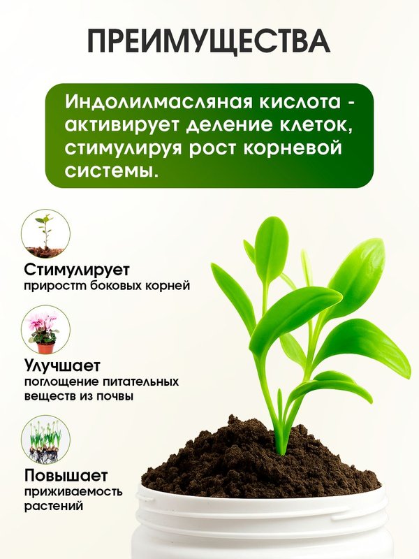 Корневин для растений для хвойных, для роз и комнатных цветов универсальный 250 гр