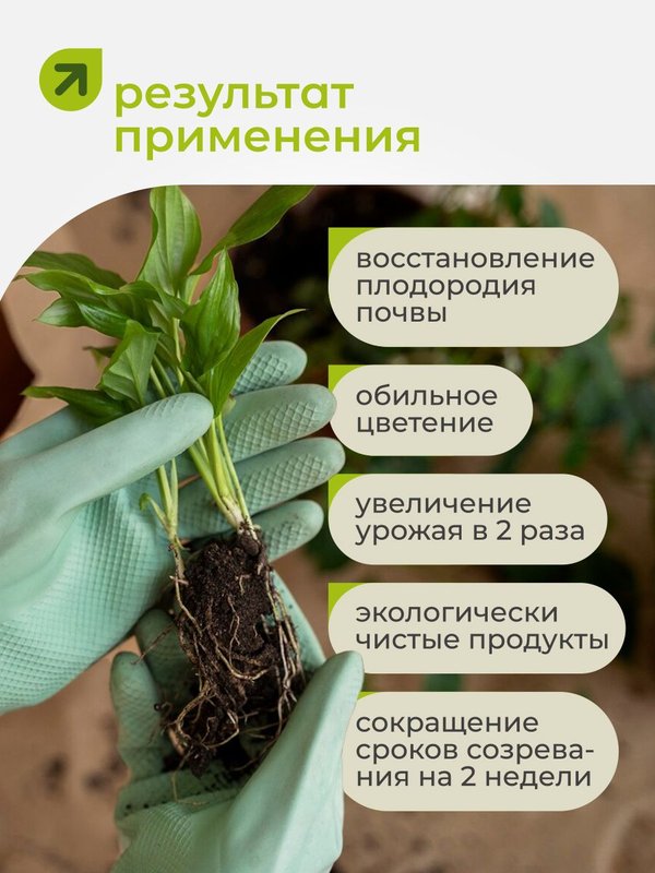 Органическое удобрение для рассады овощей / подкормка для огурцов и помидоров на подоконнике / стимулятор роста и корнеобразования ArPeBio 2 л