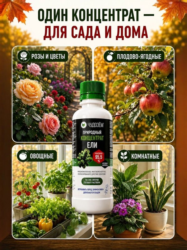 Антистресс для растений / стимулятор роста для растений комнатных Чудозём 1 л