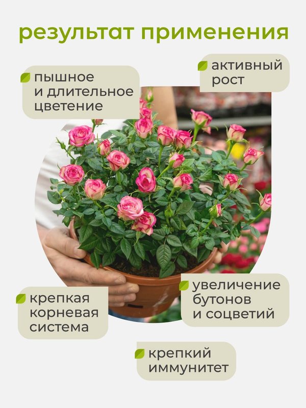 Осеннее удобрение для роз садовых ArPeBio 500 мл / подкормка для роз и пионов
