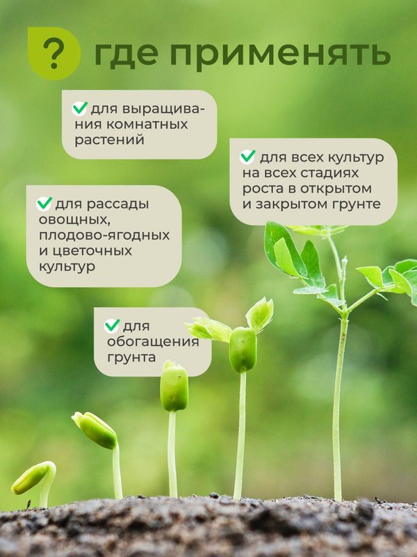 Органическое удобрение для рассады овощей / подкормка для огурцов и помидоров на подоконнике / стимулятор роста и корнеобразования ArPeBio 2 л