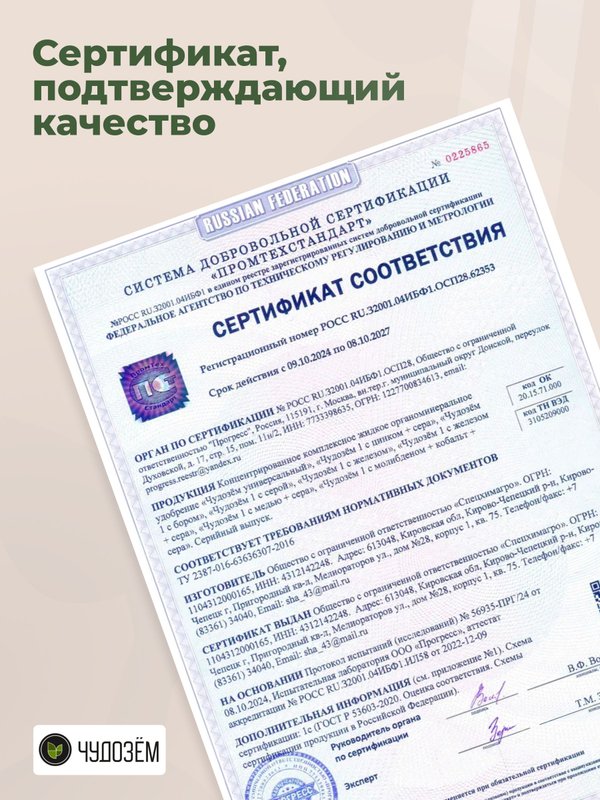 Удобрение для томатов, перцев, огурцов / подкормка для овощей и плодов универсальная с бором Чудозем 500 мл