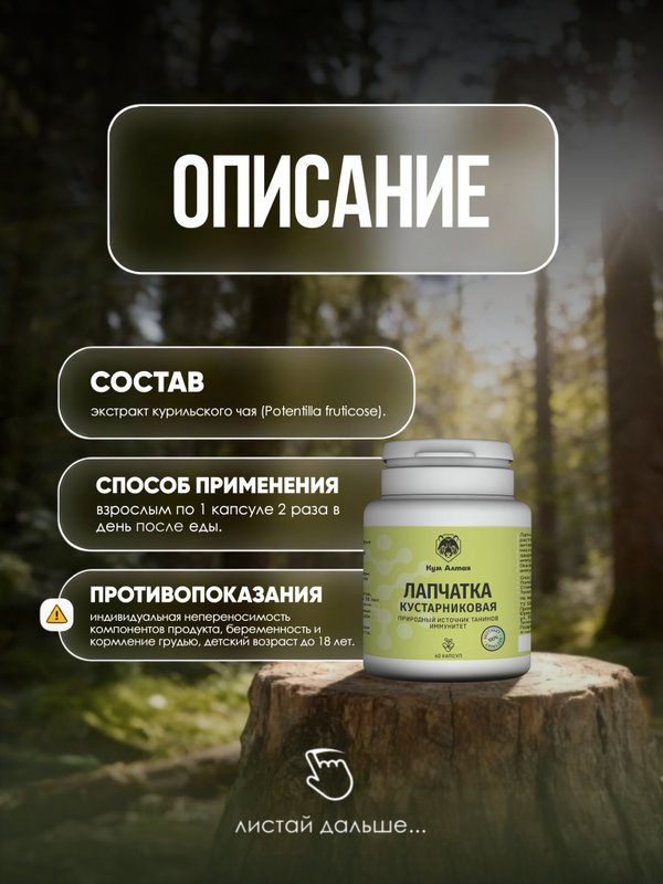 Лапчатка кустарниковая(курильский чай)экстракт, 60 капсул 500мг
