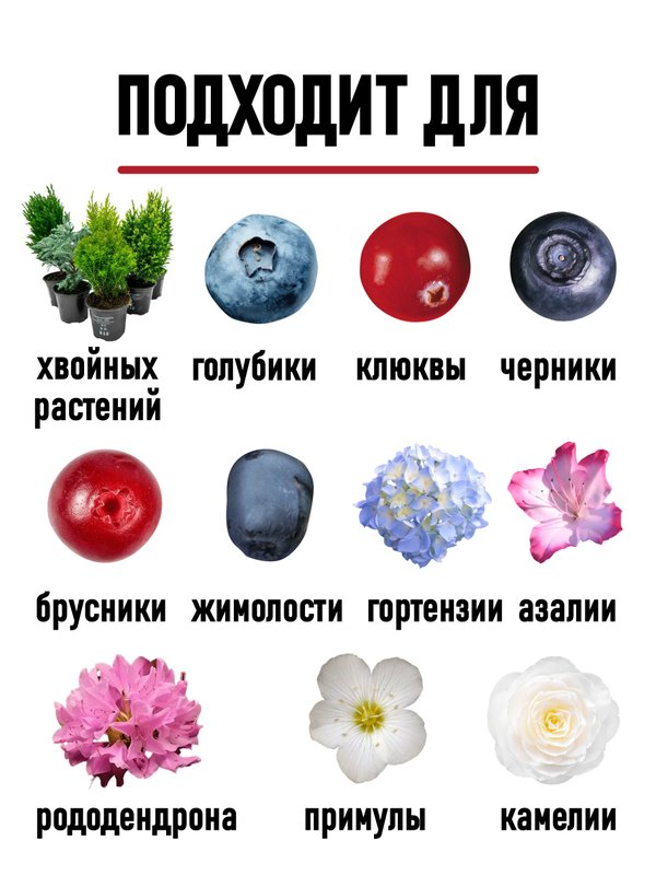 Торф кислый для гортензии и голубики