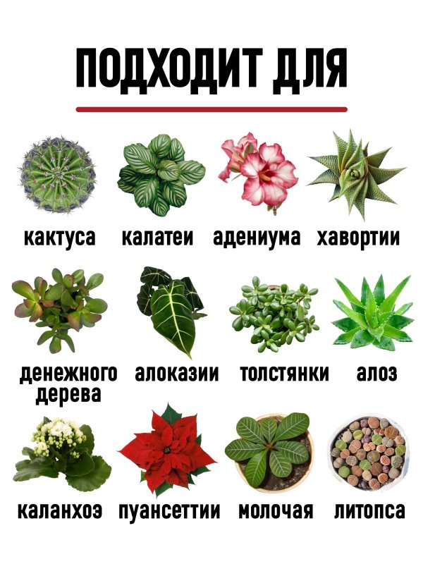 Грунт для суккулентов и кактусов ГЕРА, 2,5 л.