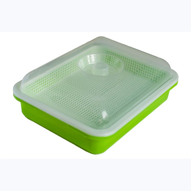 прорастание микрозелени. проращиватель для микрозелени автоматический. проращиватель для микрозелени фикс. лоток для микрозелени 600х400. проращиватель семян, микрозелени, рассады.