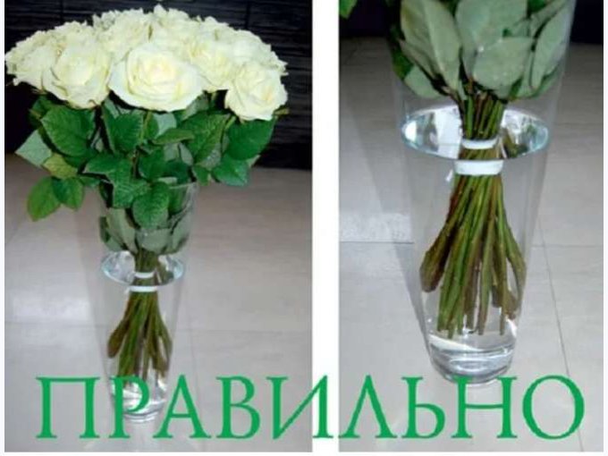 Какую воду для роз в вазе