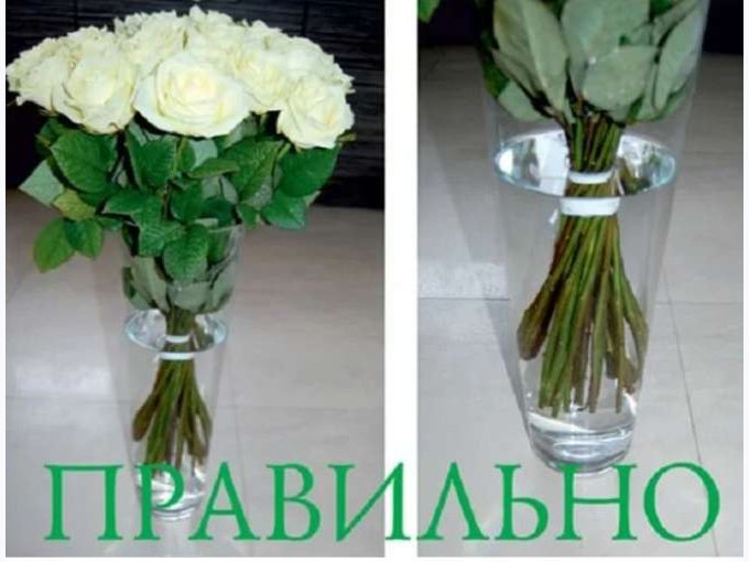 Что сделать чтобы розы простояли. Цветы долго стоят в вазе. Чтобы розы дольше стояли в вазе. Правильная постановка роз в вазу. Чтобы розы дольше стояли в воде.