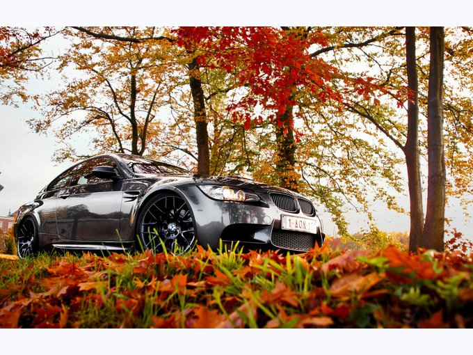 Den Herbst in vollen Zügen genießen! #audi #cars #fall #autumn #autofaszination 