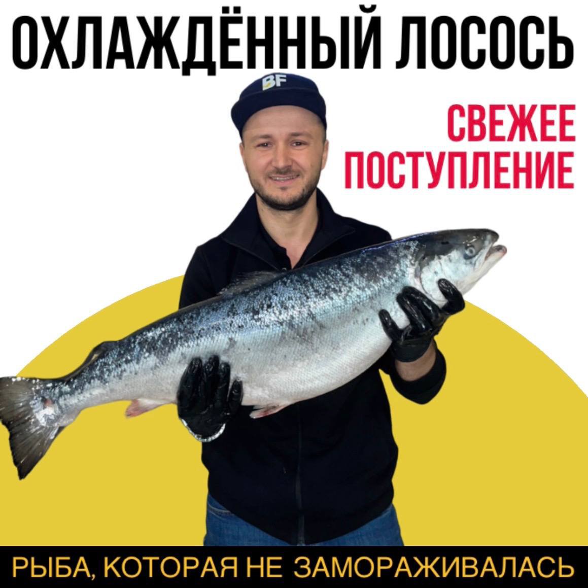 BERIFISH - РЫБА ИКРА РАКИ МОРЕПРОДУКТЫ