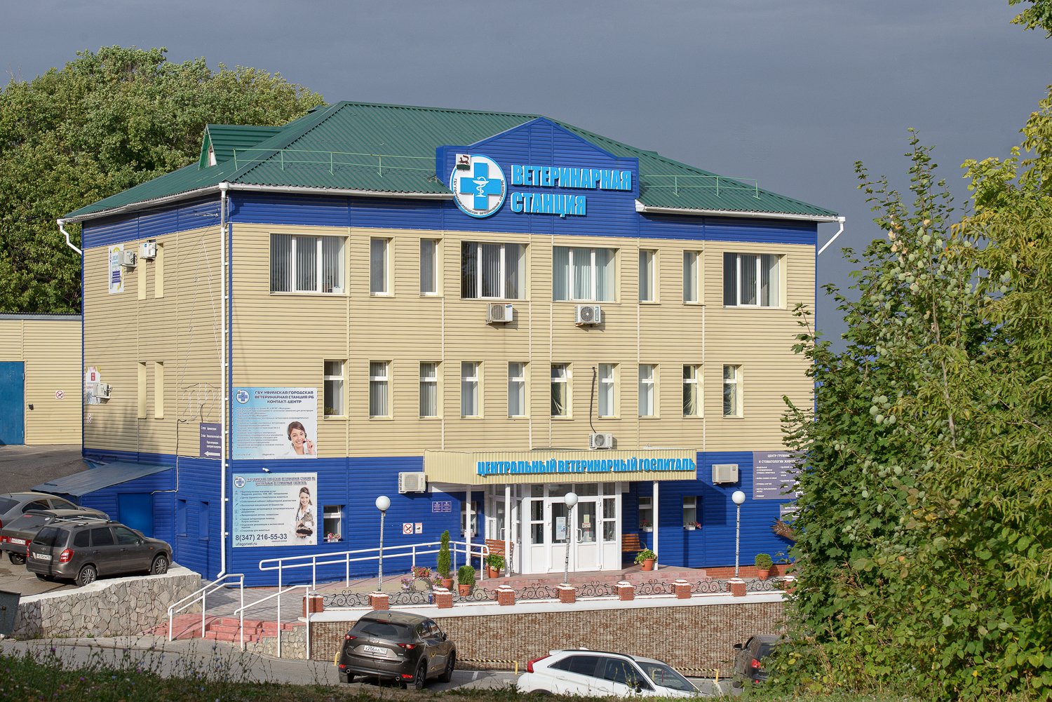 company photo