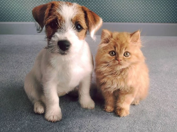 company photo